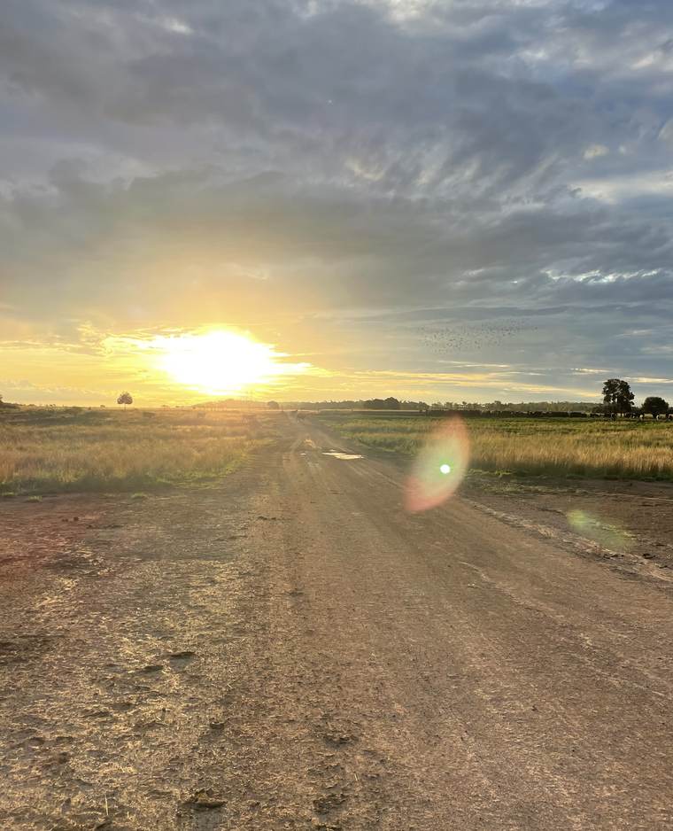 Dirt road at sunrise on the farm