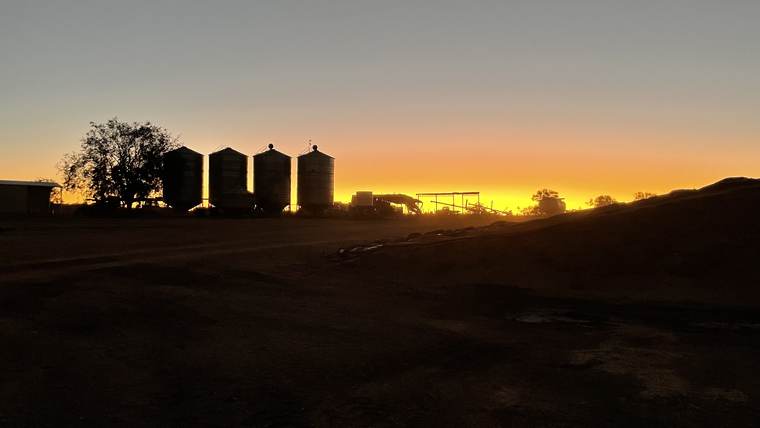 Feed silos in silhouette at last light